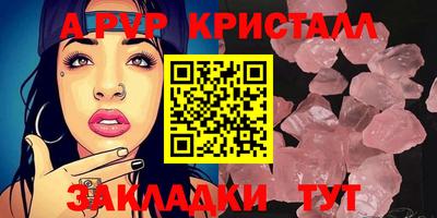 гидра Кудрово