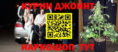 гидра Кудрово